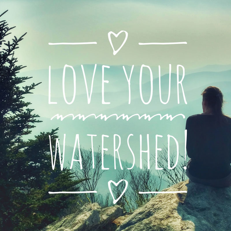 Love your watershed