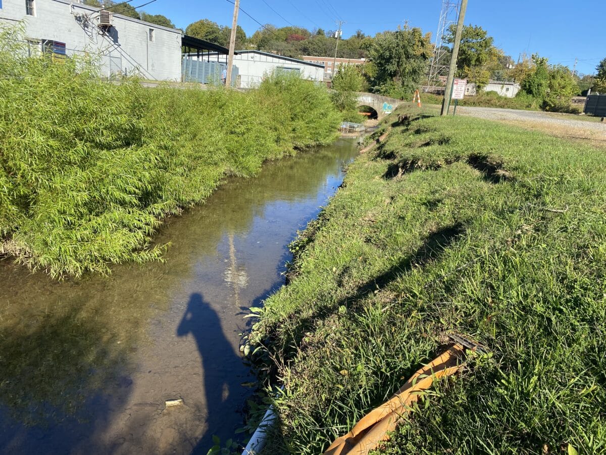 Don’t Mow, Let it Grow! The Importance of Riparian Buffers | Riverlink