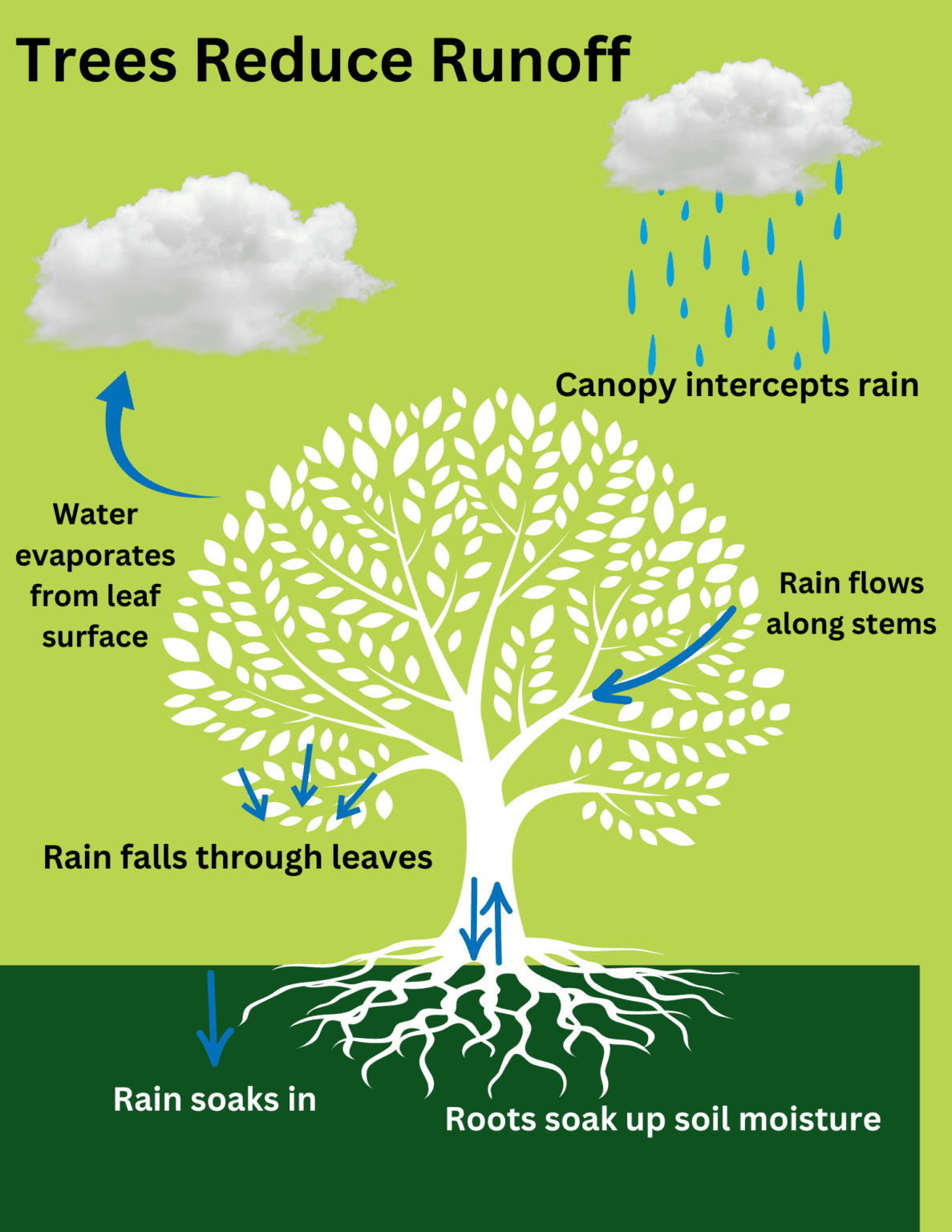 Resident's Guide to Stormwater | Riverlink