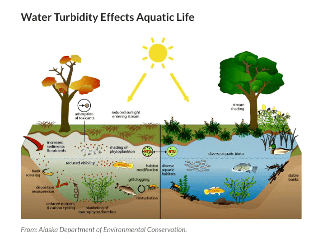 Stormwater And Sediment Riverlink Stormwater And Sediment Riverlink